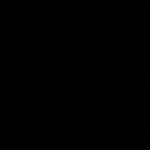 Meet your Posher, Tess